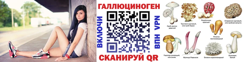 Купить где  Михайлов  Галлюциногенные грибы Psilocybe 